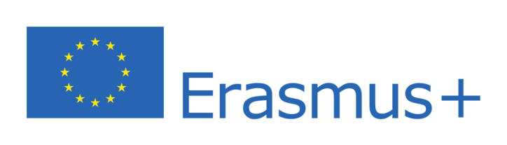 Erasmus programs